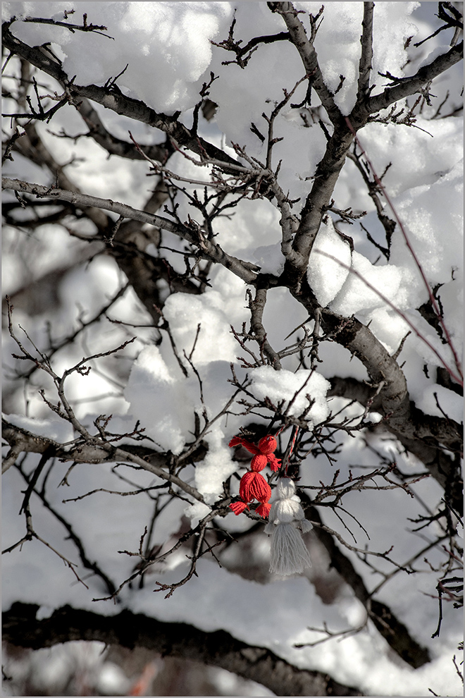 photo "первый снег" tags: nature, landscape, genre, 