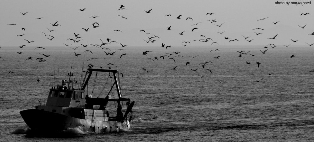 фото "on the sea" метки: черно-белые, 