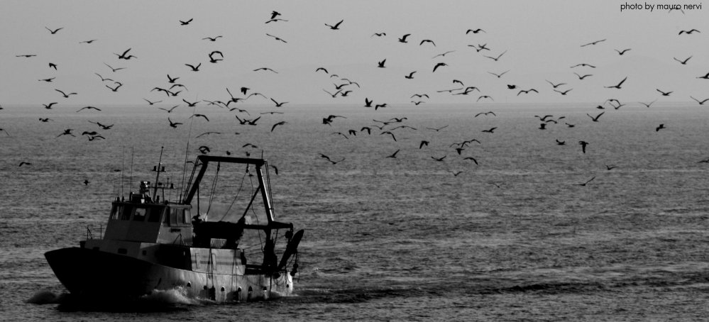 photo "on the sea" tags: black&white, 