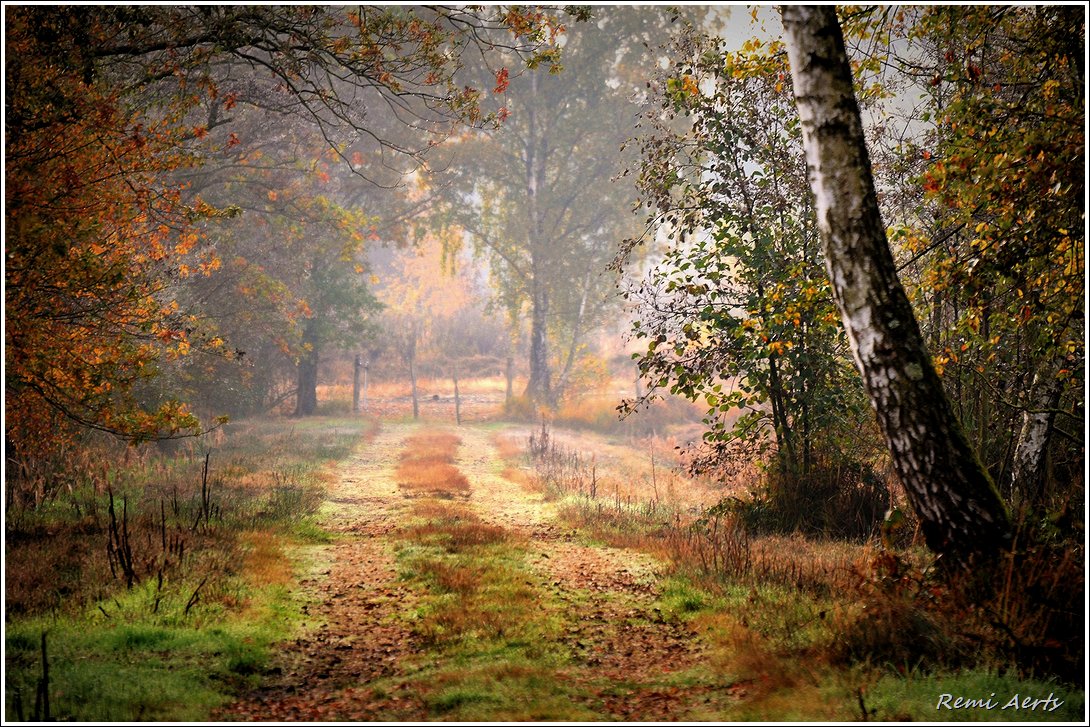photo "***" tags: landscape, nature, 