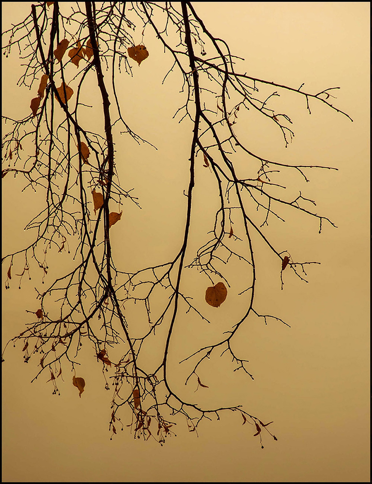 фото "Осень..." метки: природа, 