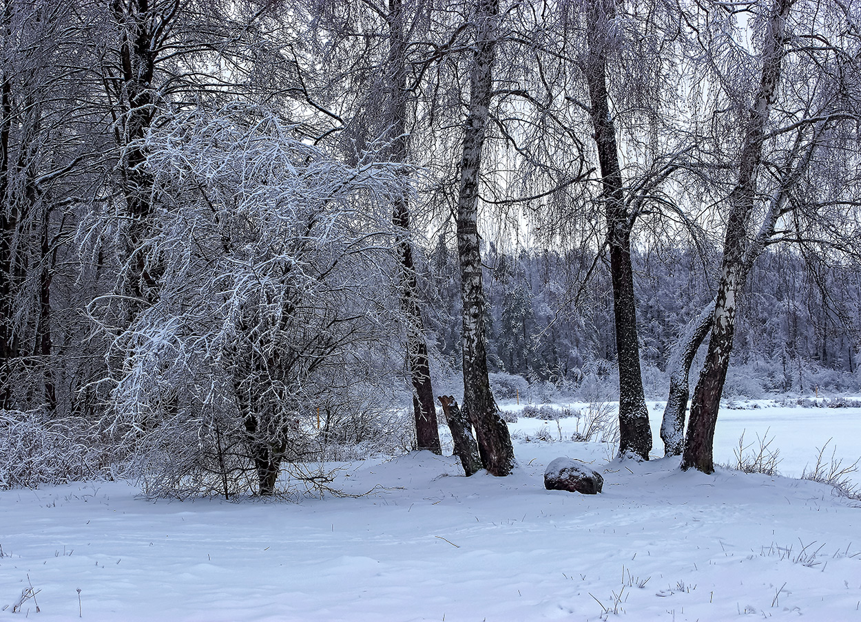 фото "Зимние зарисовки" метки: пейзаж, 