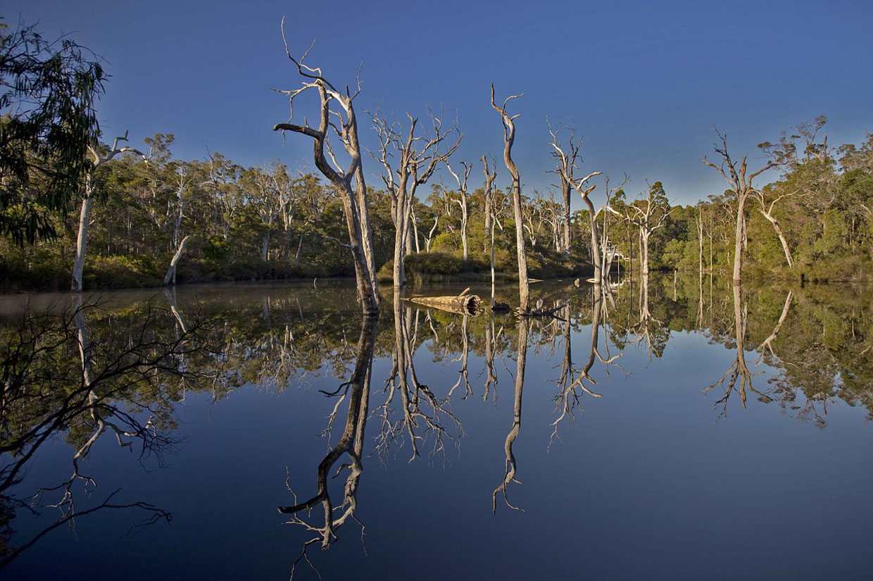 photo "Margaret river..." tags: landscape, nature, 