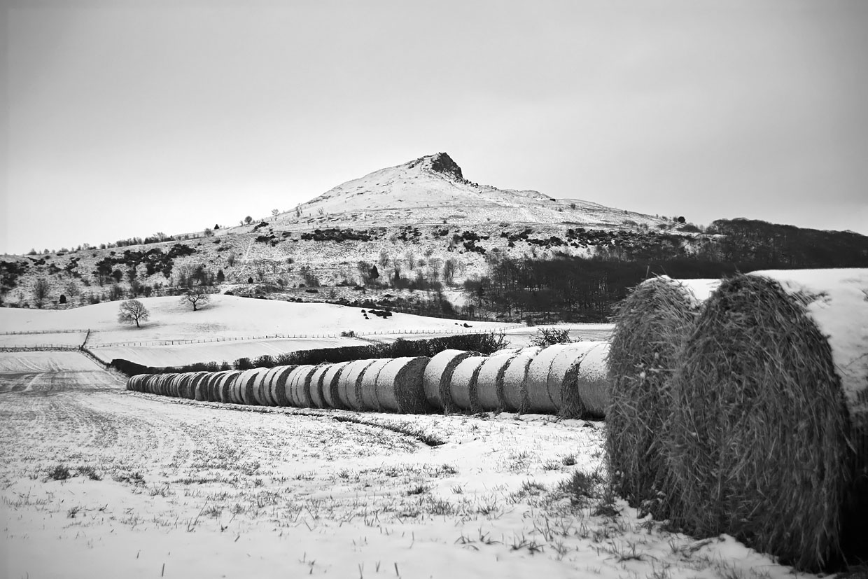 photo "***" tags: landscape, nature, black&white, 