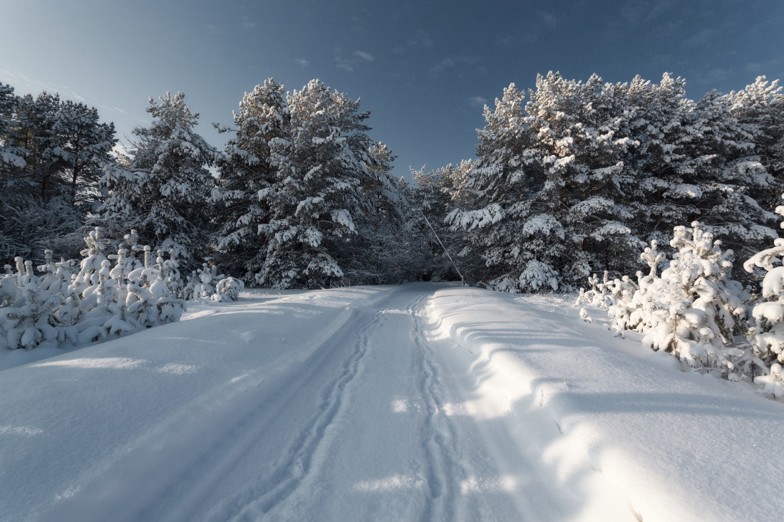 photo "***" tags: landscape, forest, road, winter, мороз, сосны, шлагбаум