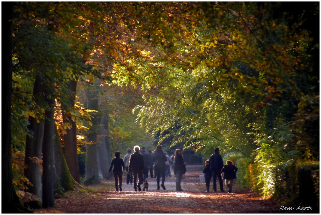 photo "***" tags: landscape, nature, street, 