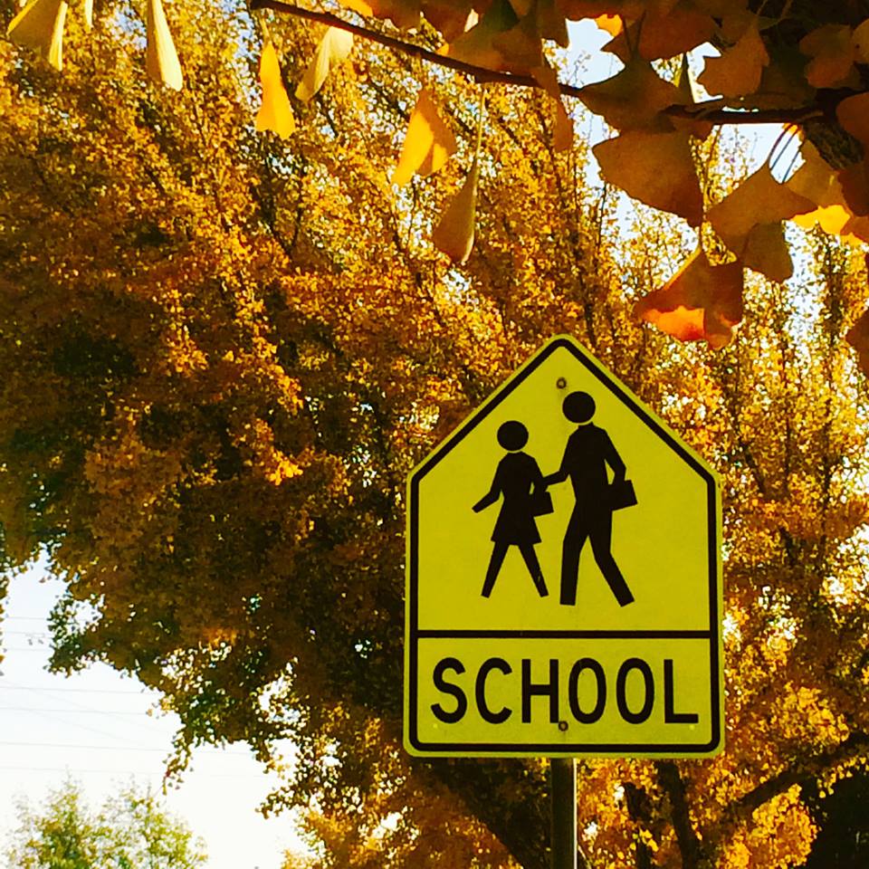 photo "***" tags: street, city, autumn, fall, pedestrian, school, season, sign, trees