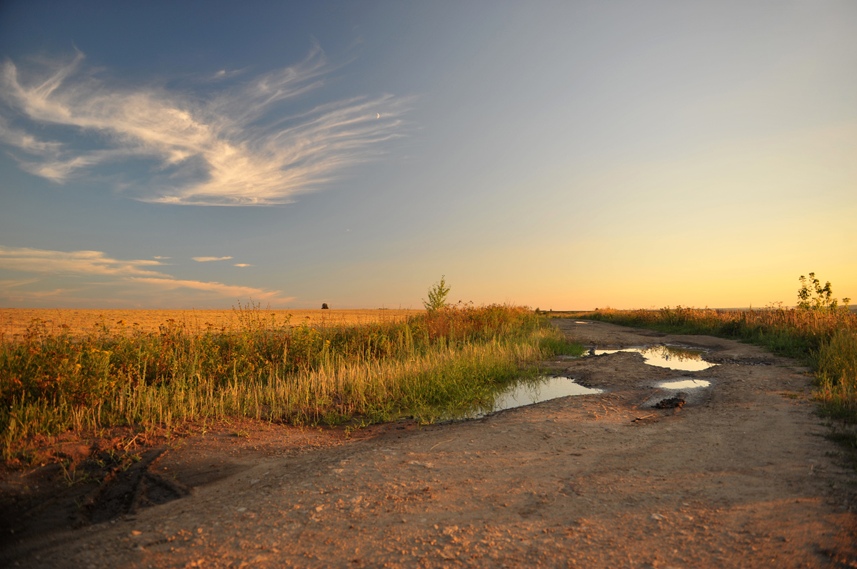 photo "***" tags: landscape, field, road, summer