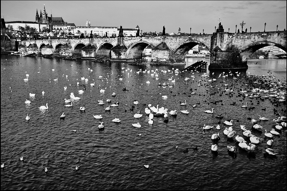 photo "Пражский Град, Карлов мост и Влтава" tags: black&white, city, architecture, Prag, Prague, Praha, Место фотографирование