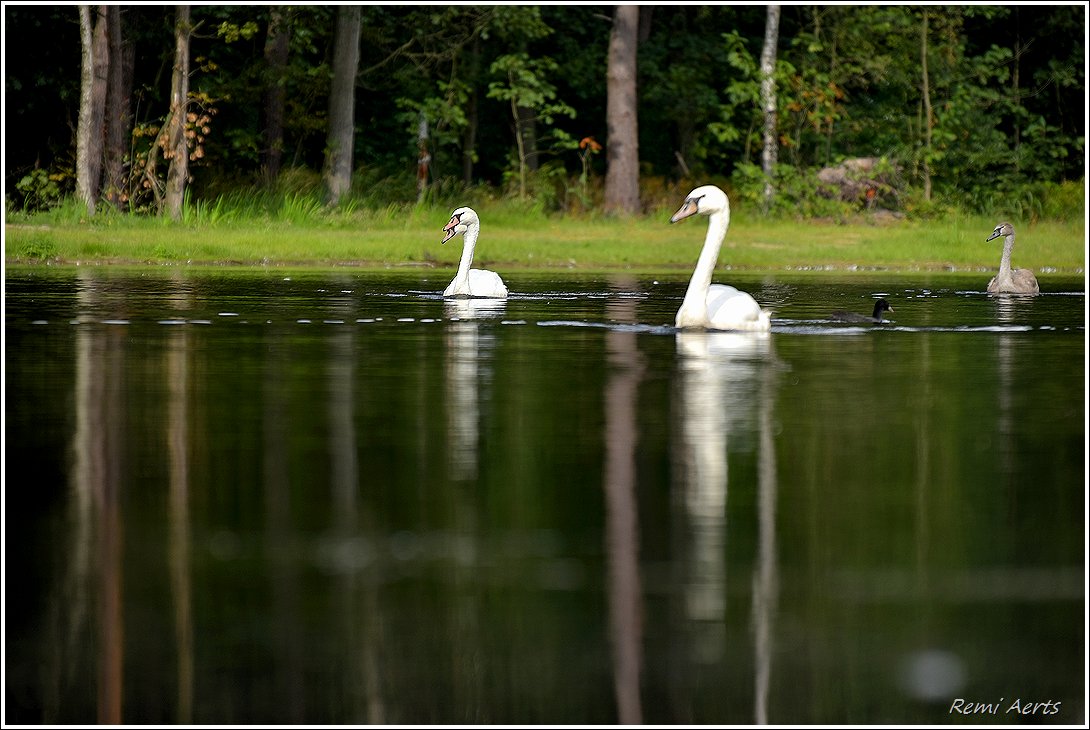 фото "***" метки: пейзаж, природа, 