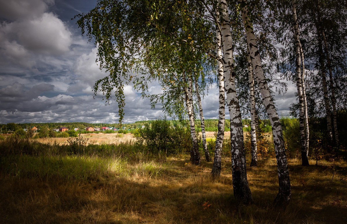 photo "***" tags: landscape, 