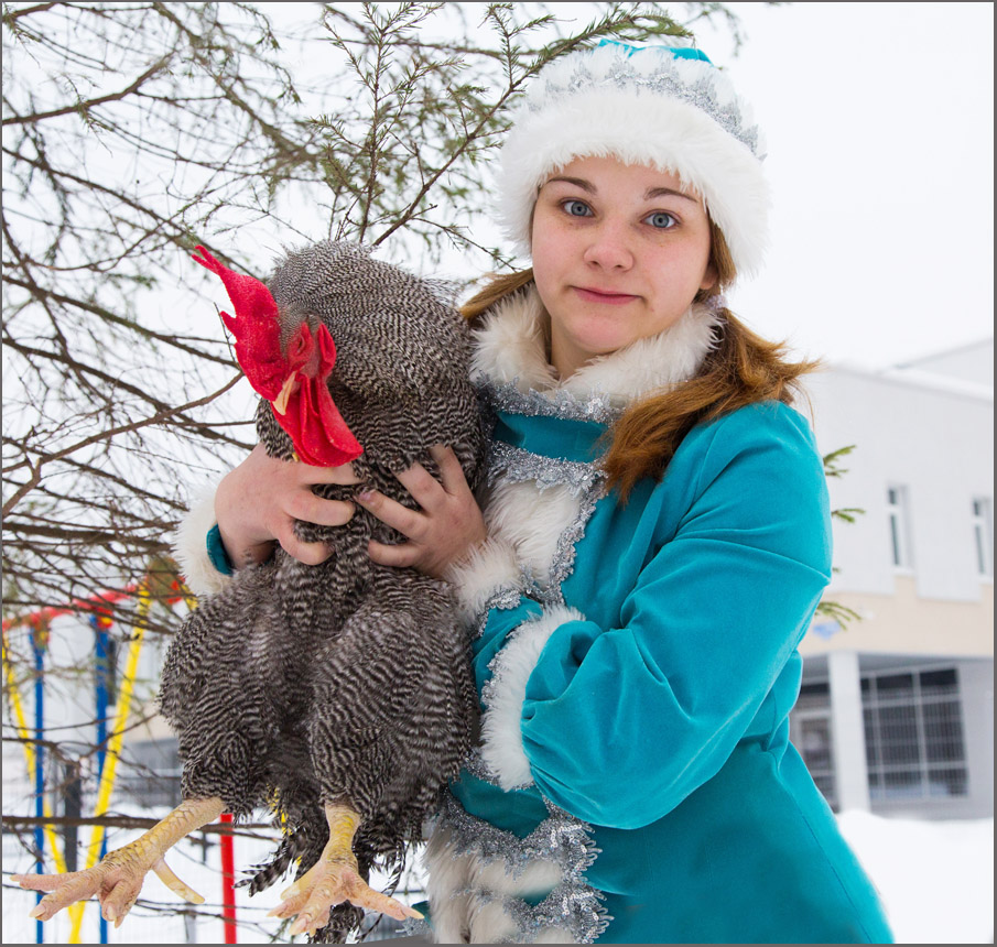 фото "С наступающим Новым годом, форумчане !" метки: жанр, портрет, юмор, Новый Год, петух, снегурочка, ёлка