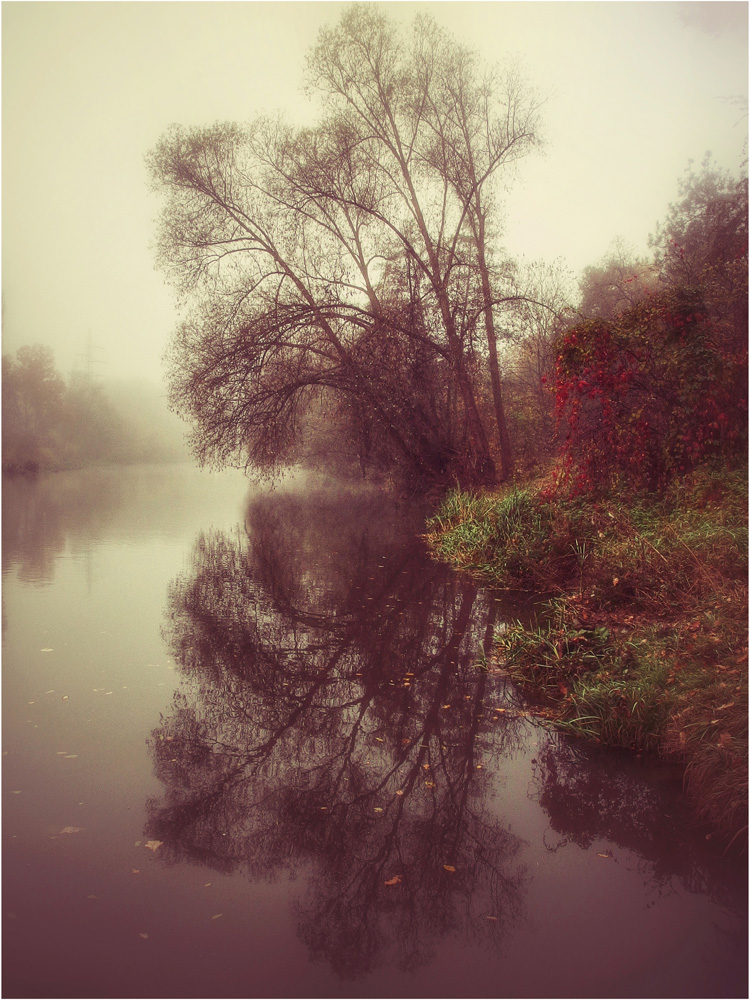 фото "***" метки: пейзаж, 