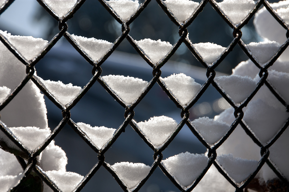 photo "Winter drawing" tags: macro and close-up, nature, winter