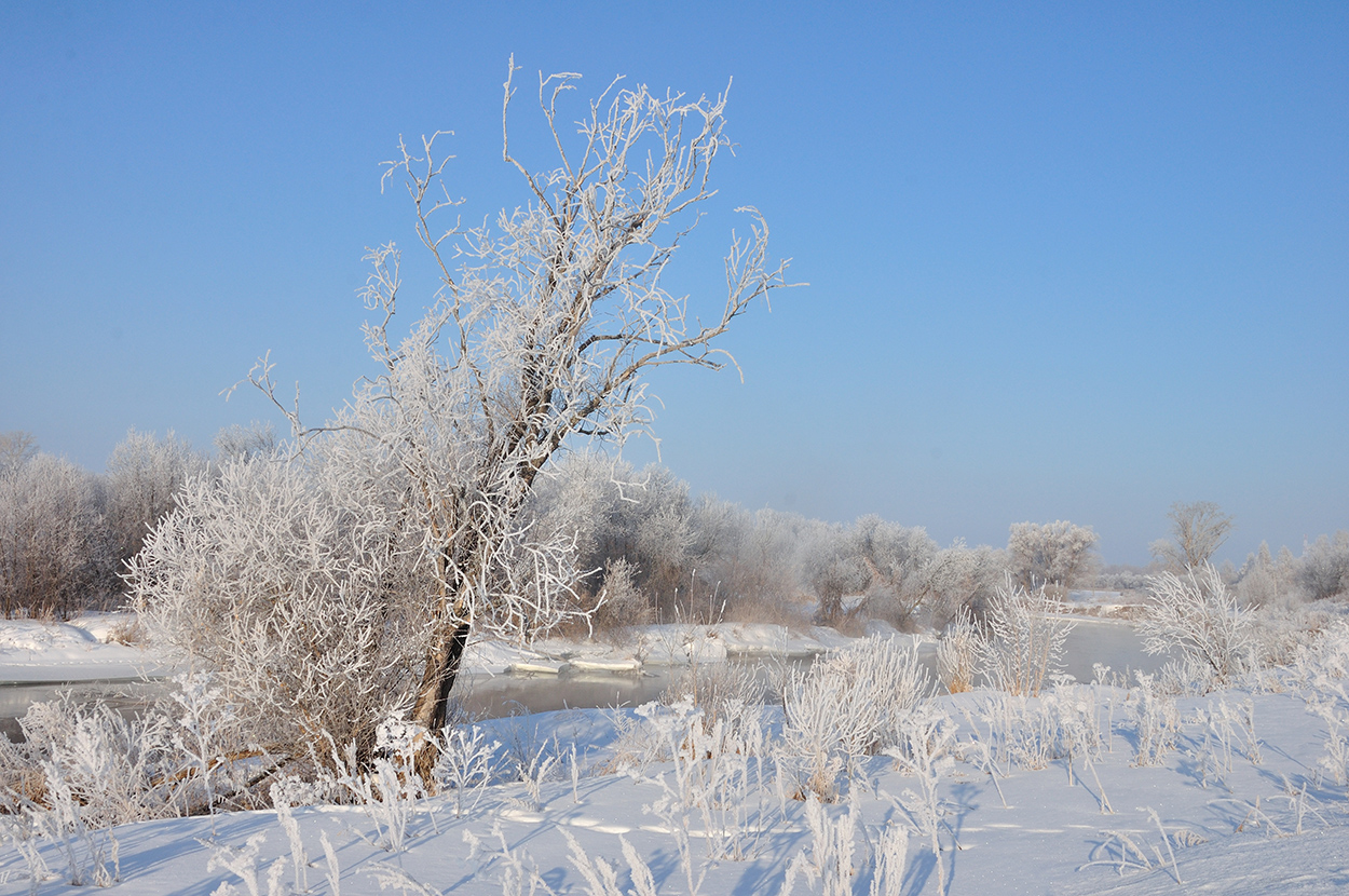 фото "***" метки: пейзаж, 