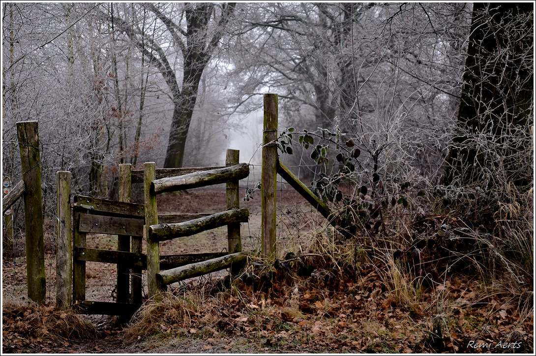 фото "***" метки: пейзаж, природа, фрагмент, 