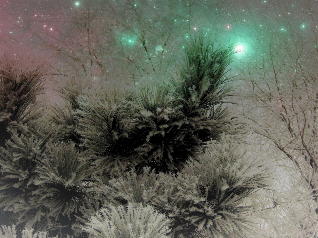 фото "Новогодняя ночь." метки: пейзаж, digital art, природа, 