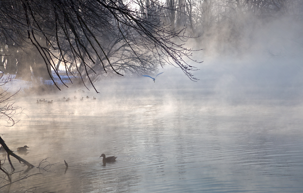 photo "***" tags: landscape, nature, fog, water