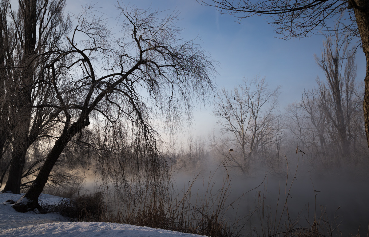 photo "***" tags: landscape, fog, water