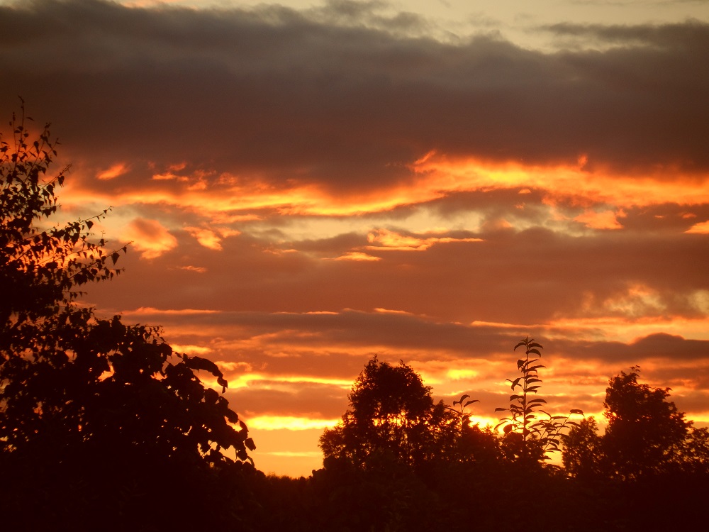 photo "***" tags: landscape, nature, summer, sunset, красота