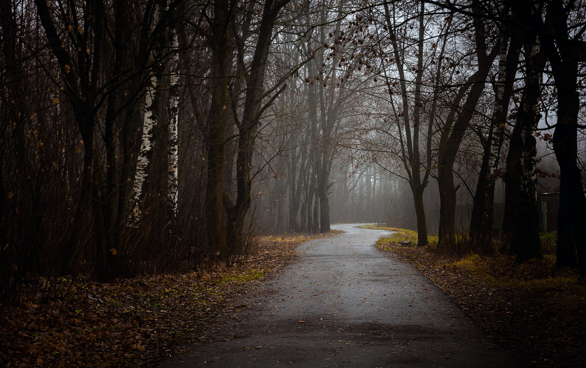 photo "***" tags: nature, 