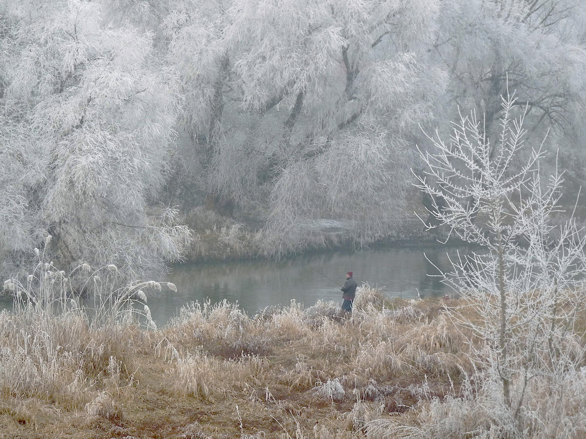 photo "***" tags: landscape, winter