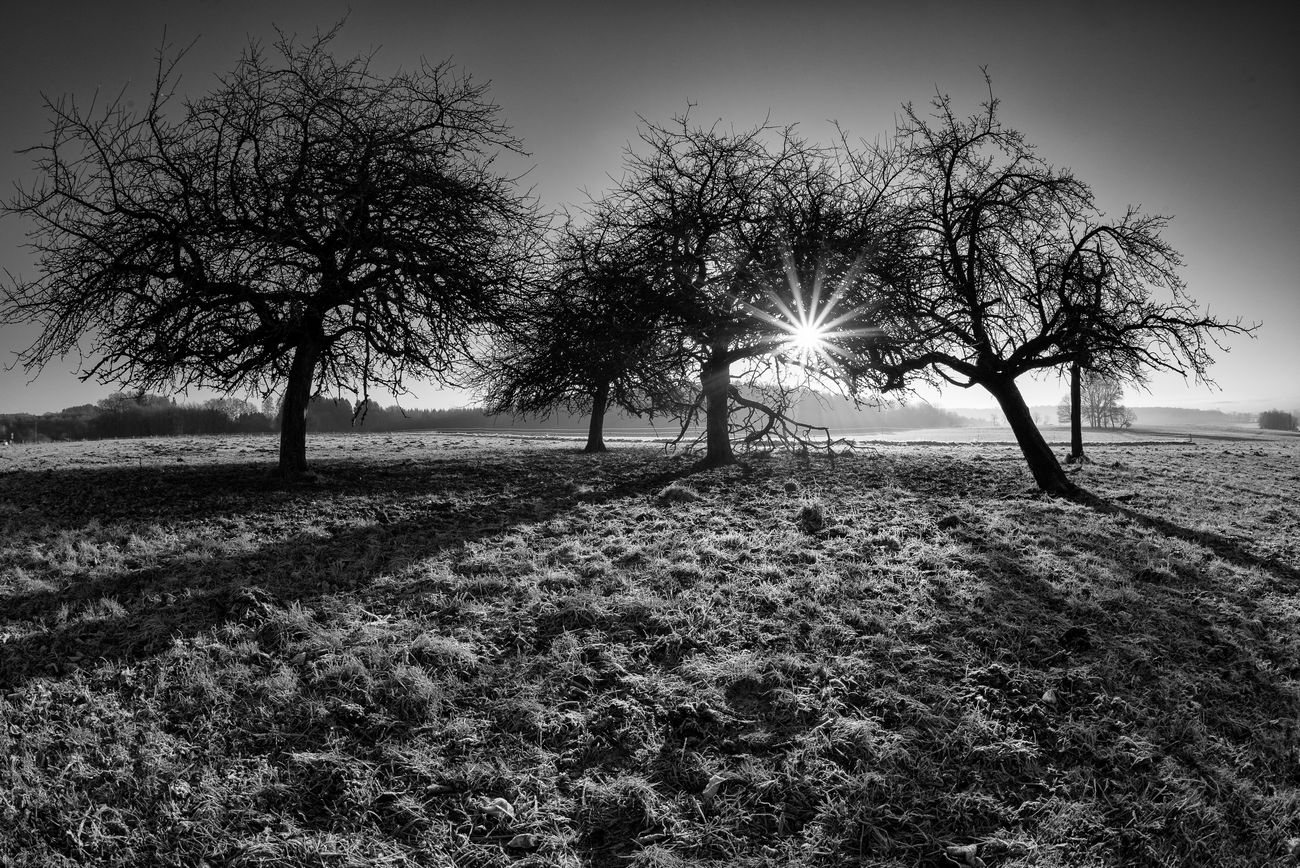 photo "***" tags: landscape, black&white, Europe, winter