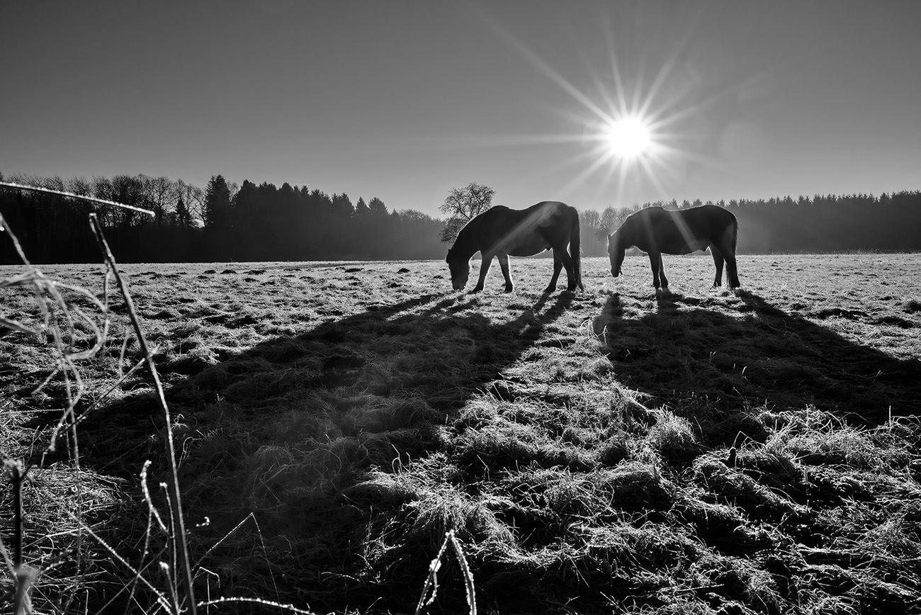 фото "***" метки: пейзаж, черно-белые, Europe, зима