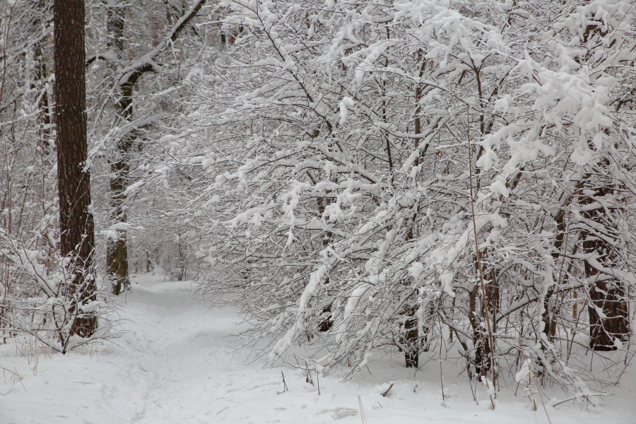 photo "***" tags: landscape, 