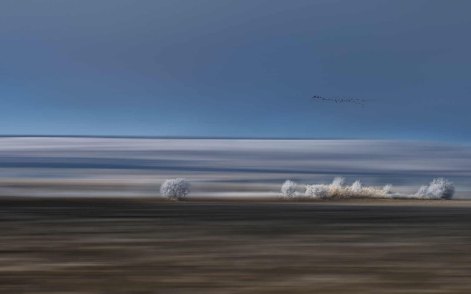 photo "***" tags: , 