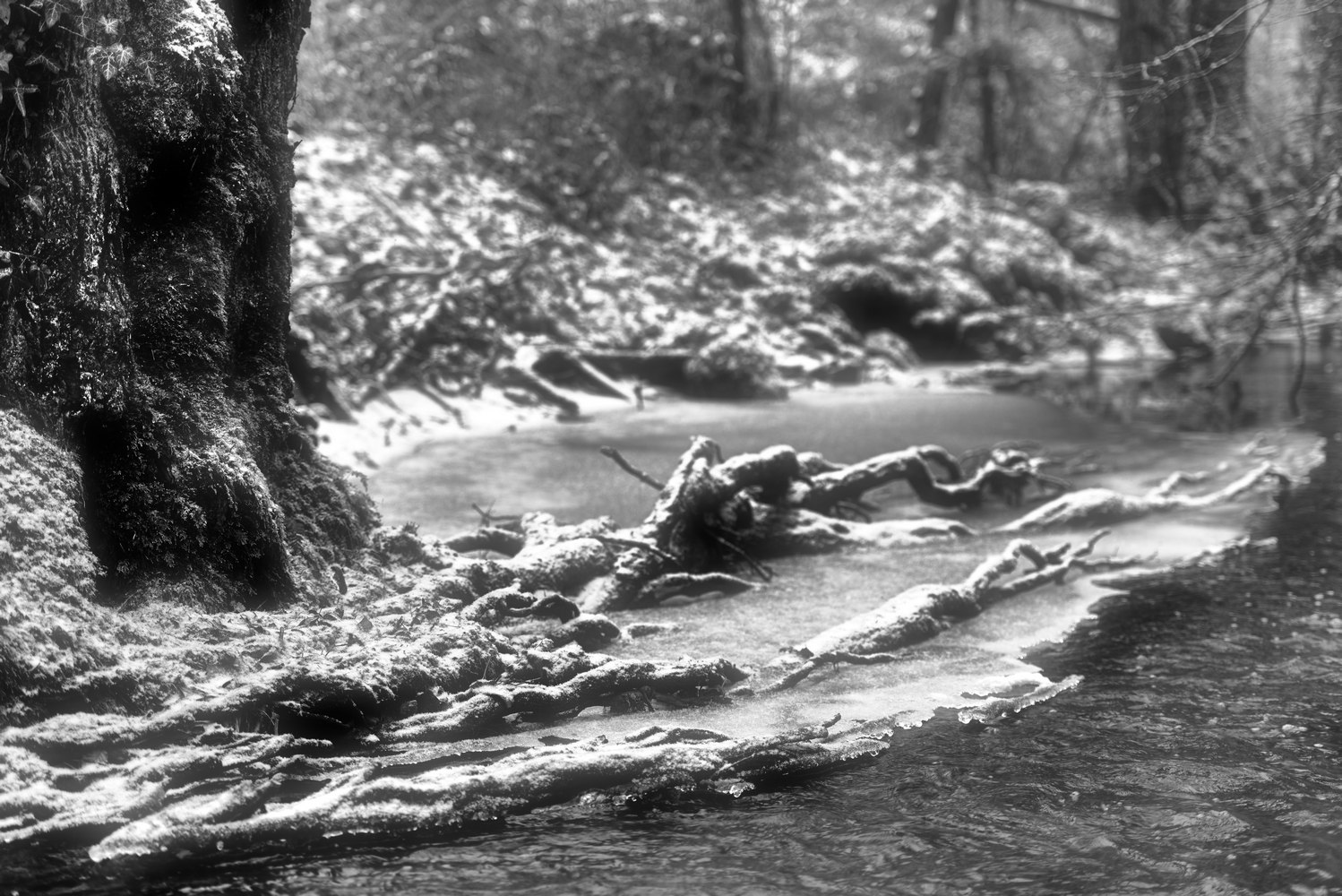 photo "***" tags: landscape, black&white, Europe, water, winter