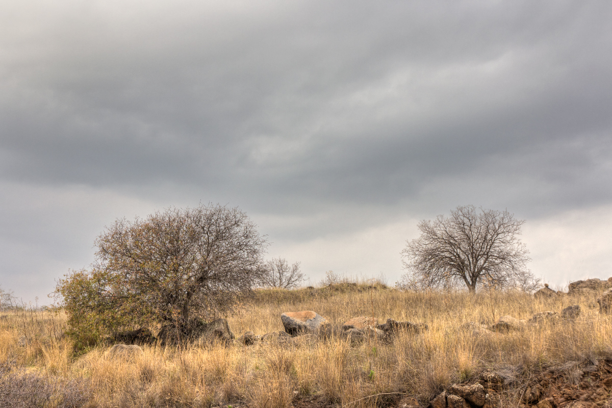 photo "***" tags: landscape, Israel, winter, Голанские высоты