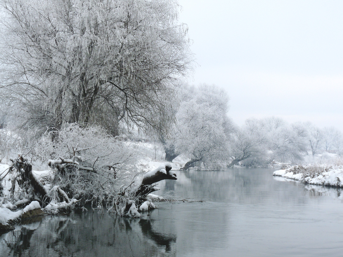 photo "***" tags: landscape, winter