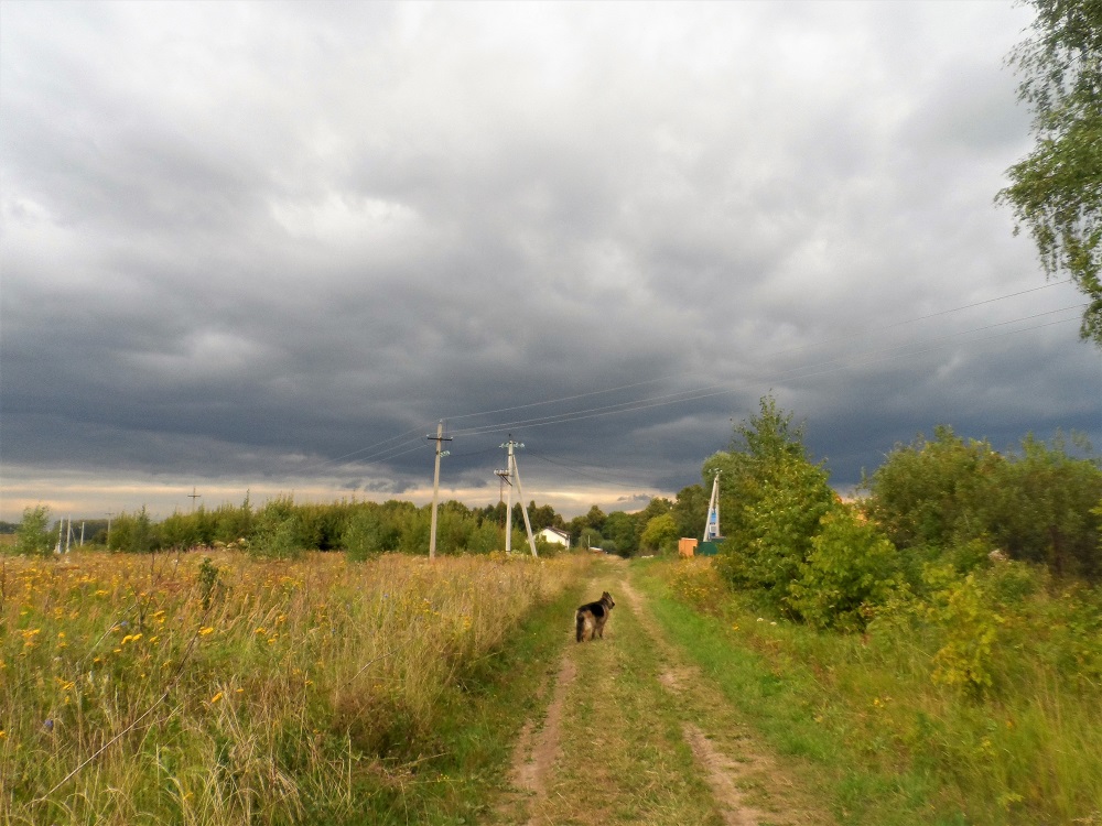 photo "***" tags: nature, landscape, summer