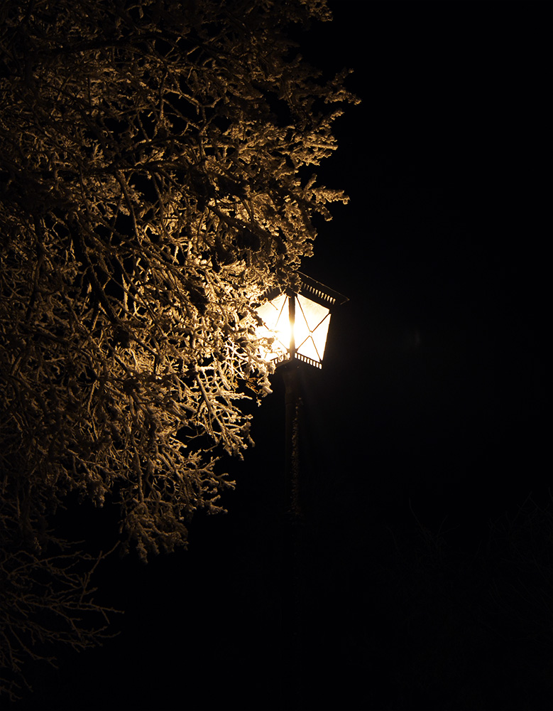 photo "***" tags: , hoarfrost, lamp, winter