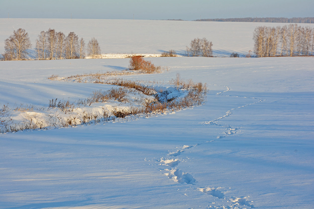 фото "***" метки: пейзаж, 