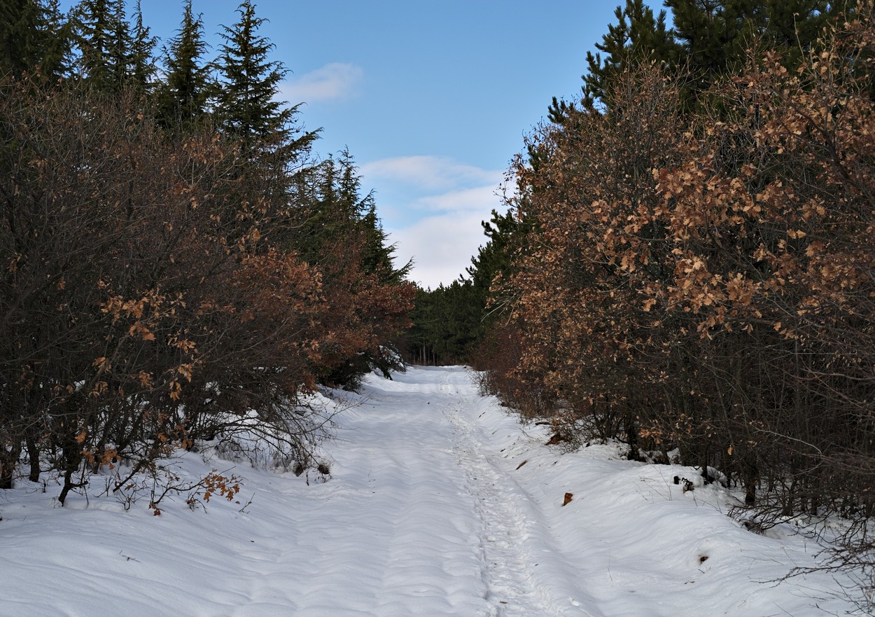 photo "***" tags: landscape, 