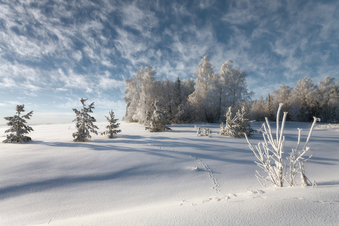 фото "Морозные кружева облаков" метки: пейзаж, Следы снег сугробы лес зима мо