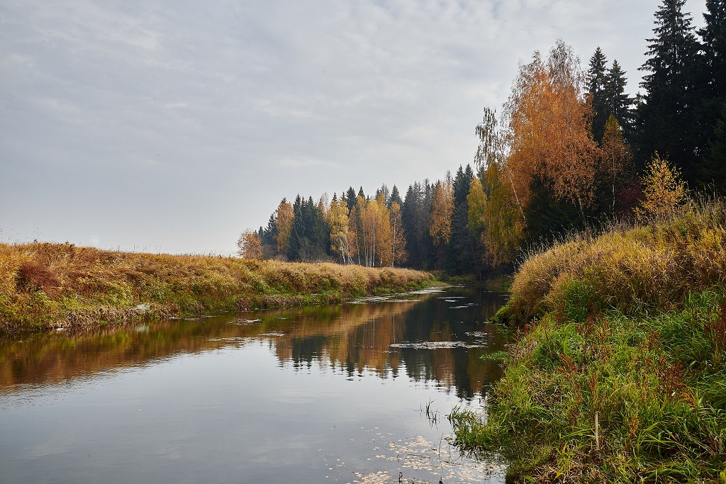 photo "***" tags: landscape, nature, 