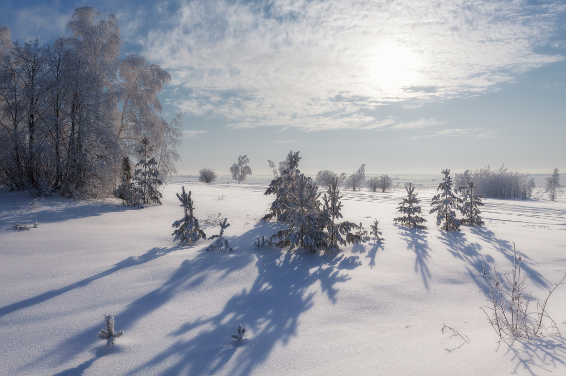 photo "***" tags: landscape, clouds, forest, snow, sun, winter, елки, мороз, сосны, тени