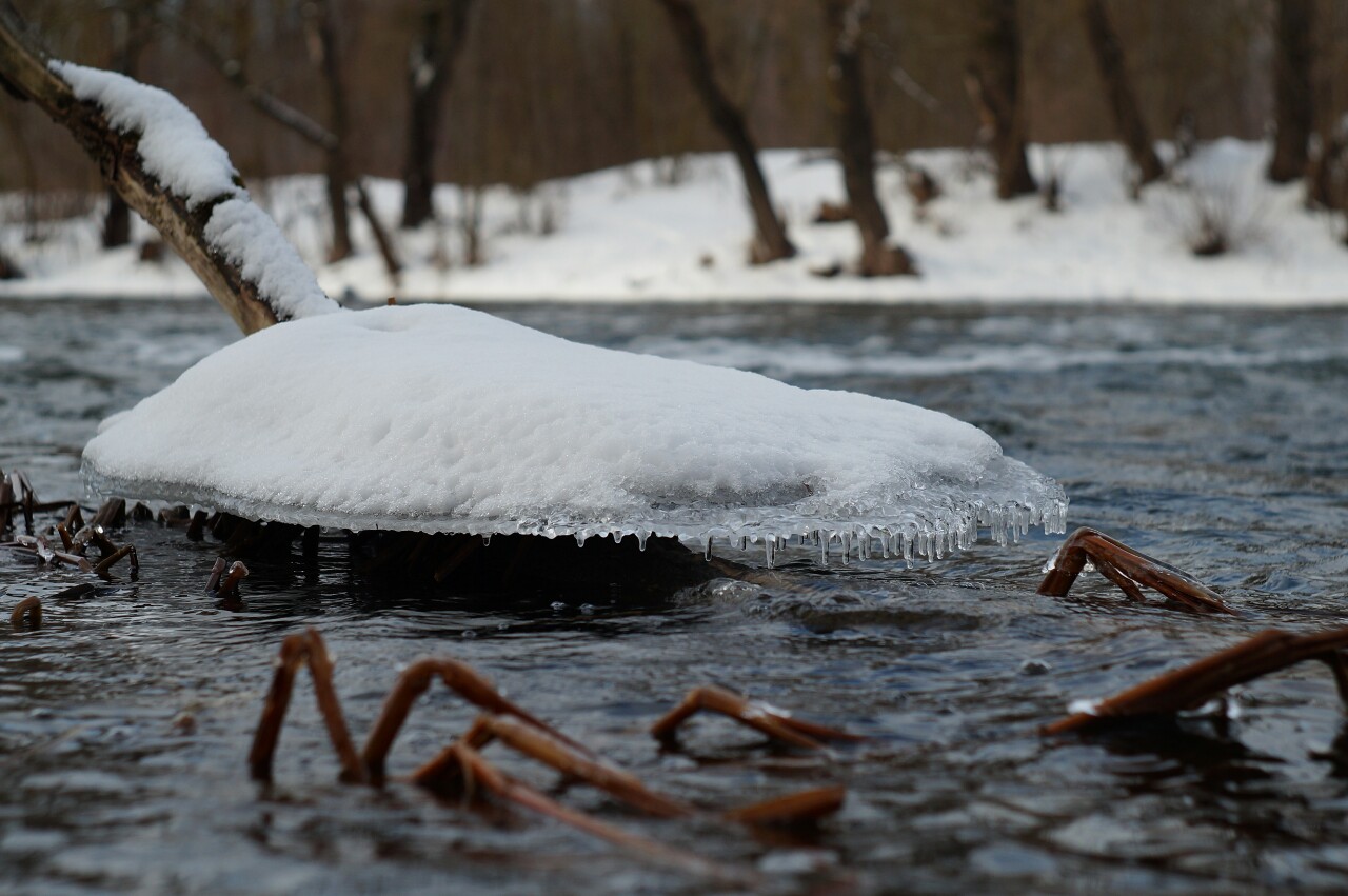 photo "***" tags: nature, 