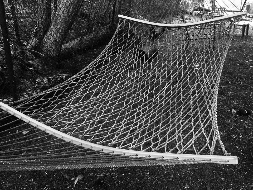 photo "Hammock" tags: black&white, hammock