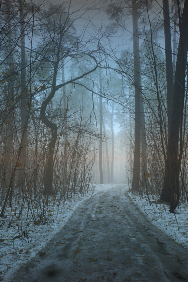 photo "***" tags: landscape, 