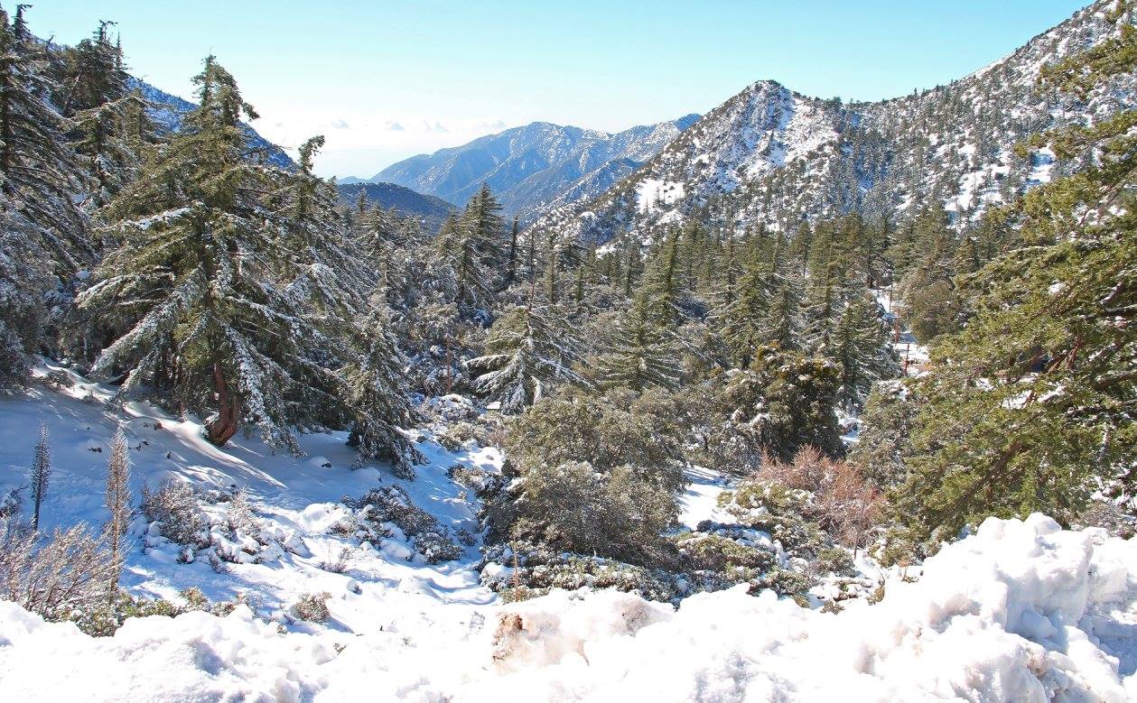 photo "***" tags: landscape, nature, travel, Southern California, mountains, pines, season, snow, valley, winter