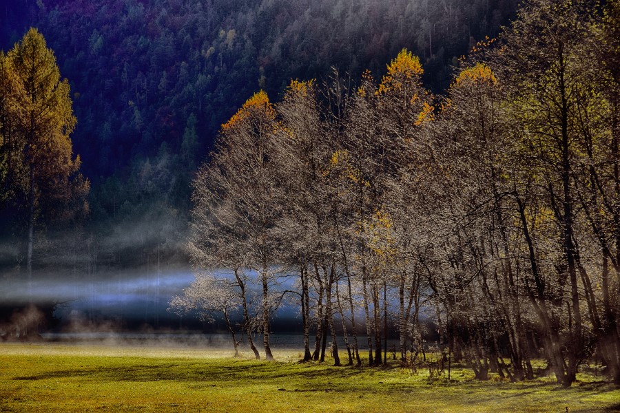 photo "mystical fog" tags: landscape, 