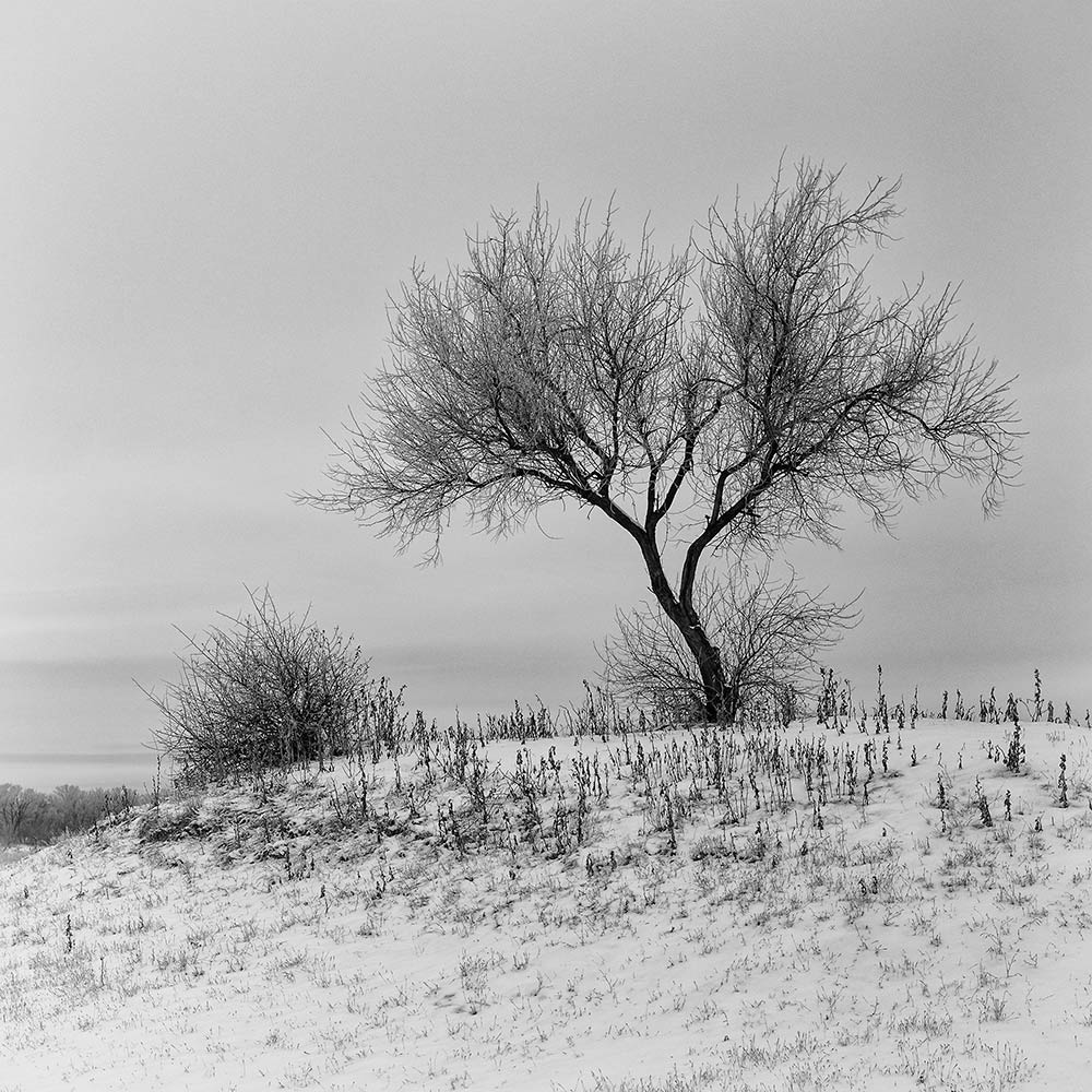 photo "***" tags: landscape, black&white, 