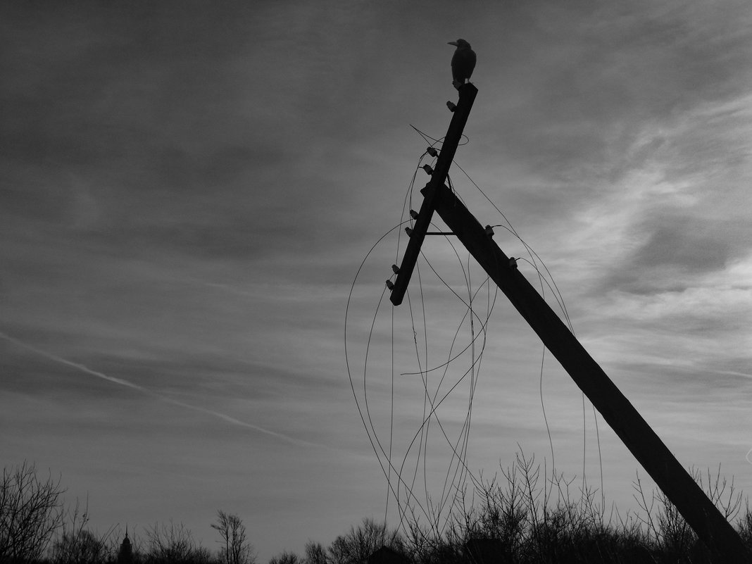 photo "***" tags: landscape, nature, black&white, village, winter, деревья, монохром, руины, человек