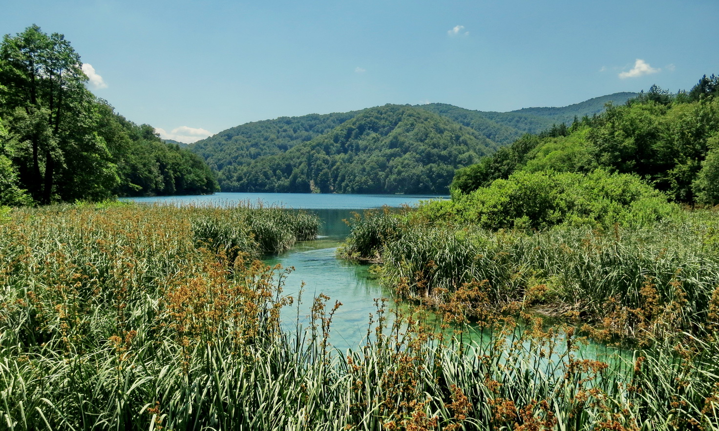 photo "***" tags: landscape, nature, travel, Плитвицкие озёра, Хорватия