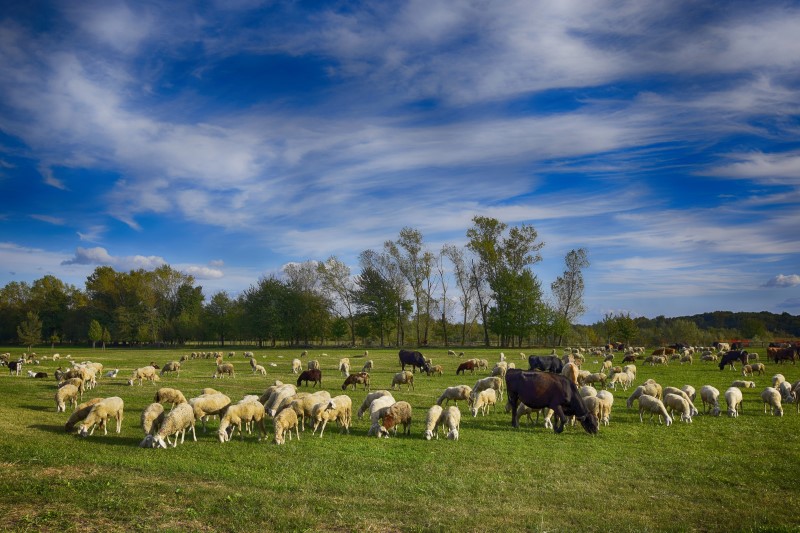 photo "*****" tags: landscape, 