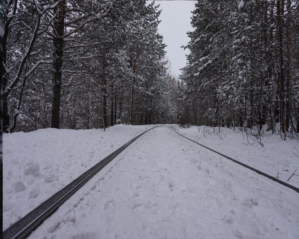 фото "Путь" метки: , 